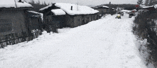 4.gif