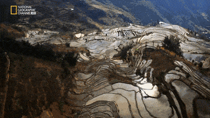 9.gif