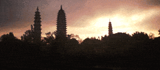 8.gif